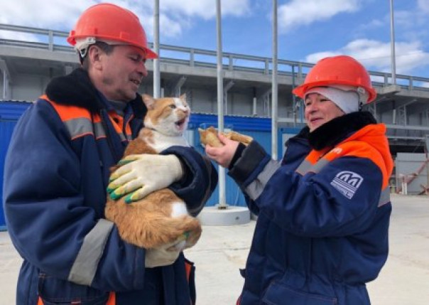 Ничего, кроме армии, флота и победы. Владимир Скачко