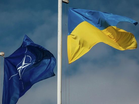Заявка Киева в НАТО вызвала разброд в рядах союзников Украины