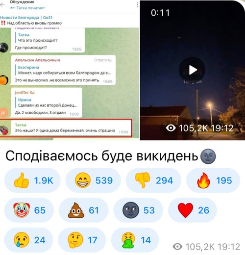 Крокодильчики необучаемы. Анатолий Урсида