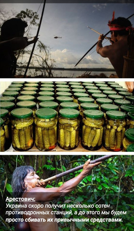 "Мыздобулы" в картинках. Смешных и не очень... 23.10.2022