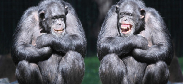 Первобытная война. Почему люди воюют