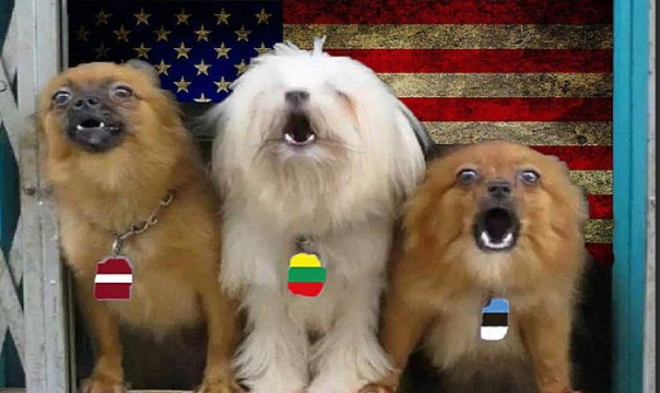 Русских в Балтии в час икс готовы утилизировать быстро