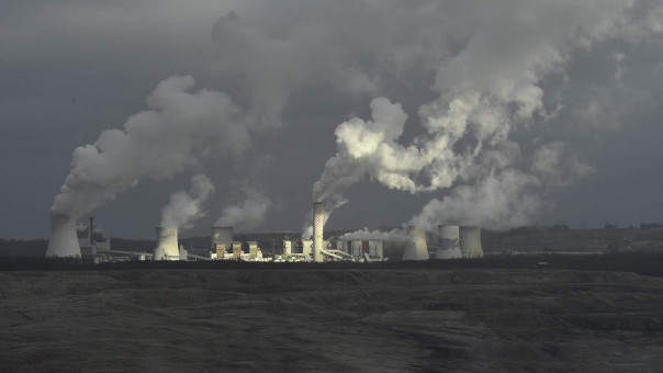 За кого топят: Польша скупает второсортный уголь и вырубает леса