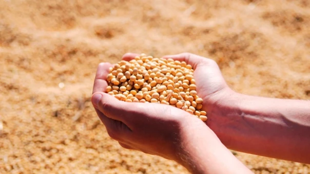 Голод «по-европейски». Россия оставила Запад без зерна на радость бедным странам