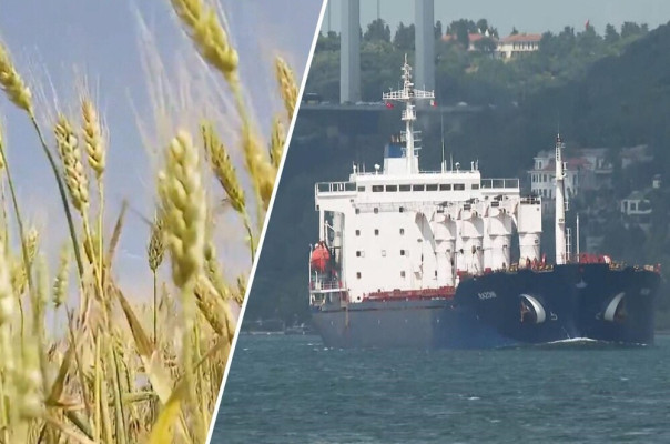 Украинские беспилотники целились в ЧФ, а попали в зерновую сделку