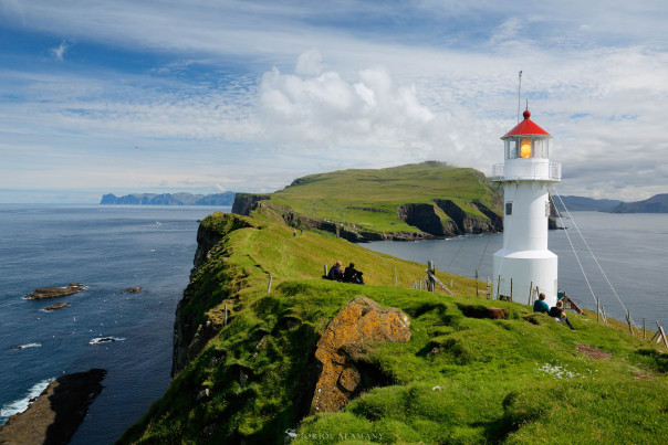 Не злите нашу селёдку