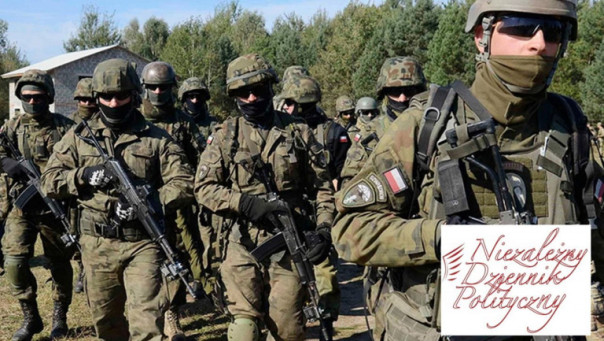 NDP: польские наёмники на Украине – часть плана по возвращению земель