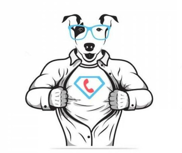 Что за сервис такой, Звонопёс?