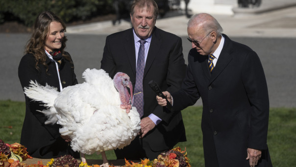 Американцы высмеяли Байдена, попытавшегося взять интервью у индейки