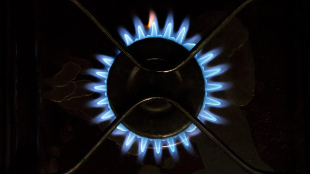 "Голубые воришки" Украины и Молдавии объединились