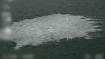 Россия скоро узнает виновных в теракте на "Северных потоках", заявили в ГД