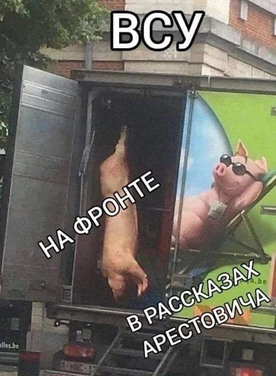 "Мыздобулы" в картинках. Смешных и не очень... 06.12.2022