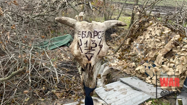 Барсы в лукоморье Кременной или «в бой идут одни старички»