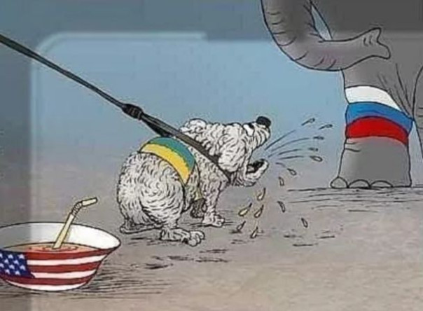 США пытаются контролировать уровень конфронтации с Россией