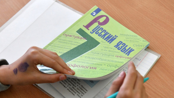 Госдума в первом чтении приняла проект о защите русского языка