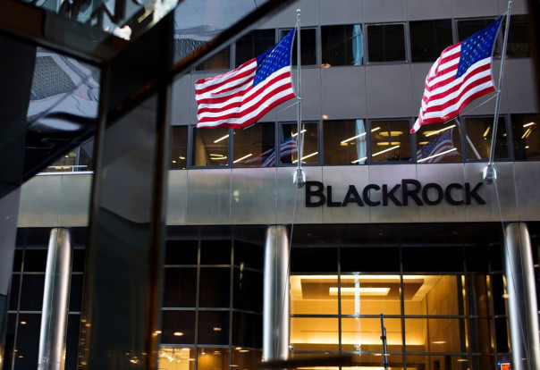 «Лот Украина — продано»: BlackRock приобрел полигон для испытания новой зеленой энергетики