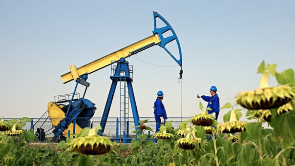 Мэропад на Украине: режим Зеленского избавляется от нефтяных конкурентов Коломойского