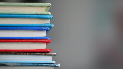 У генерала СБУ нашли написанный им антироссийский роман