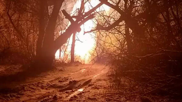 Стала известна предварительная причина аварии на газопроводе в ЛНР