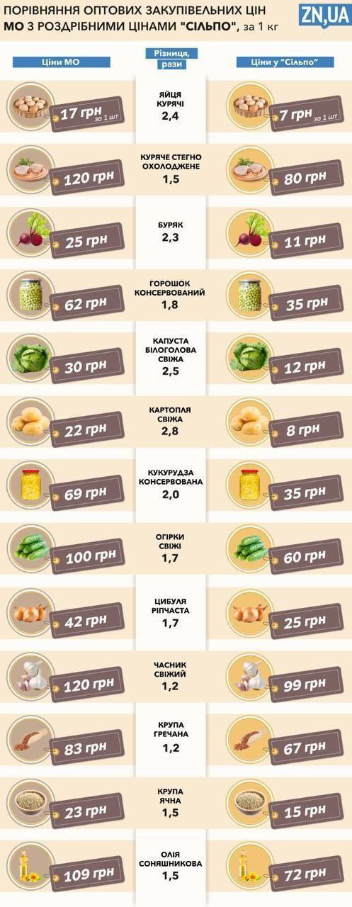 На Украине обвинили Минобороны в коррупции: только на 1 контракте украли 70% годового бюджета фонда "Повернись Живим"