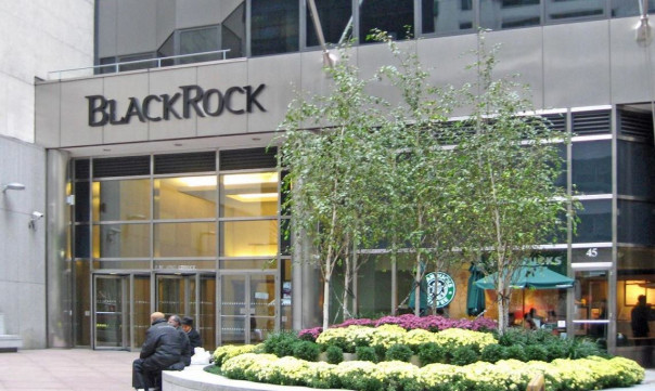 BlackRock планирует скупить Украину