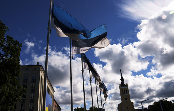 Bloomberg: Эстония готовит к концу января план конфискации российских активов