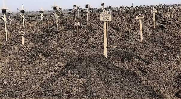 На Украине раскрыли шокирующую статистику потерь