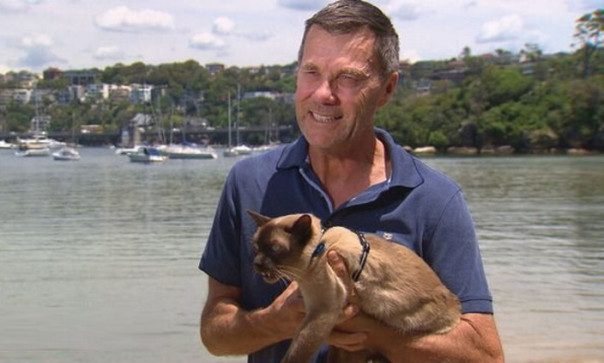 Кот отлично показал себя в заплыве для собак. Теперь ему угрожают