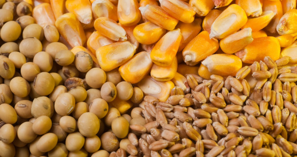 США вывели из-под санкций против РФ "предоставление сельхозпродукции"