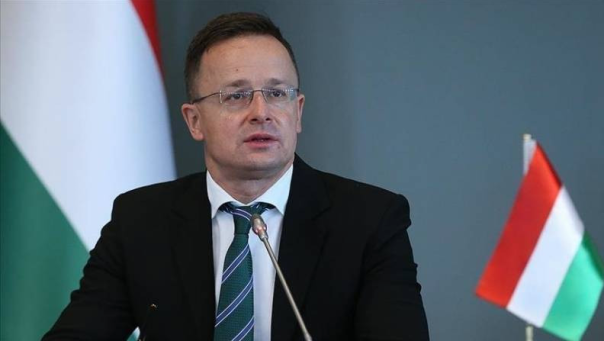 Венгрия запросила наблюдателей ЕС в Закарпатье Украины из-за притеснения венгров