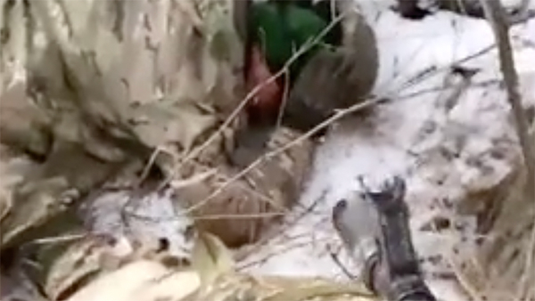 Убийства военнопленных в ВСУ требуют жесткой международной реакции