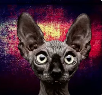 Грубник, на выход! Вы обосравшись!