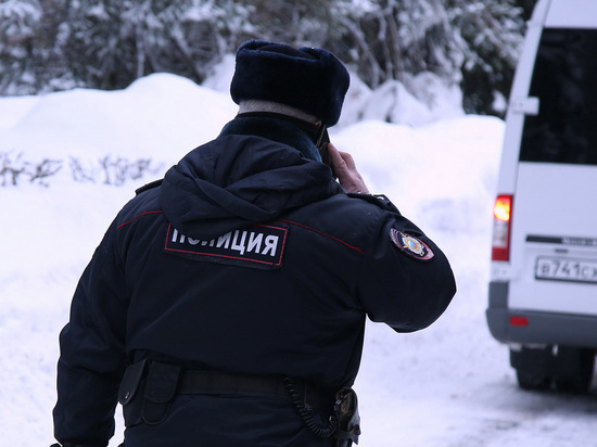 На россиянина завели уголовное дело из-за анекдота