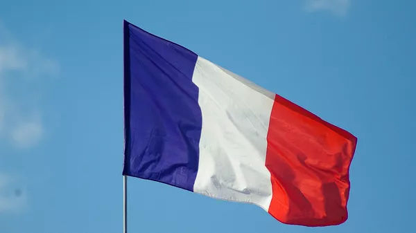 Политик призвал Францию "образумиться" и выйти из НАТО