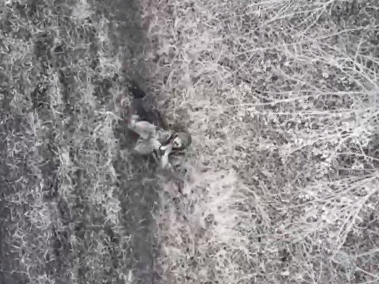 Жога прокомментировал кадры, на которых боец ВСУ просил не скидывать на него гранату