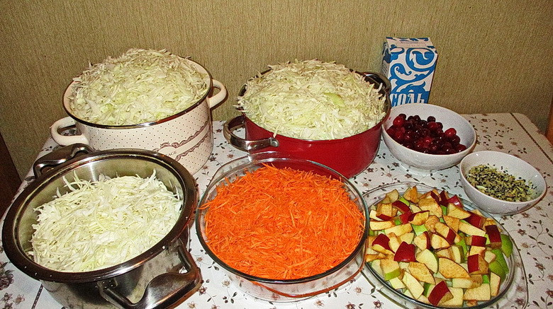 А.В.Росич. Межсезонье и ОРВИ (простуда, грипп, коронавирусы и т.п.)