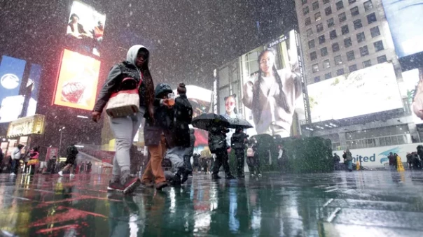 Черный расизм убьет Америку