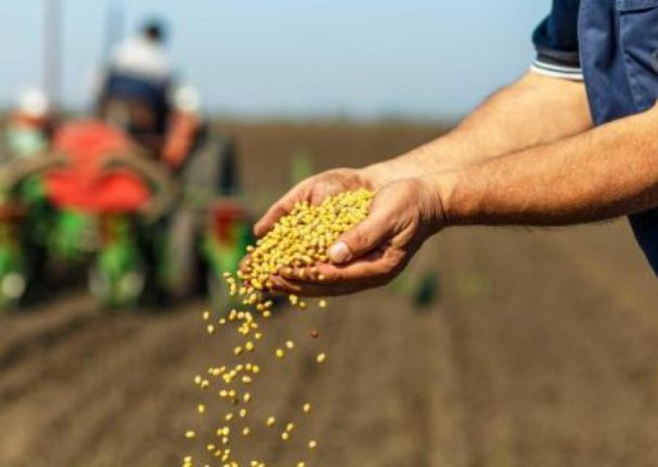 На Украине бизнес парализован, весенне-полевые работы на грани срыва — работать некому