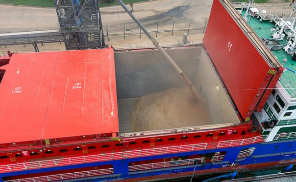 В России задумались, стоит ли продлевать зерновую сделку