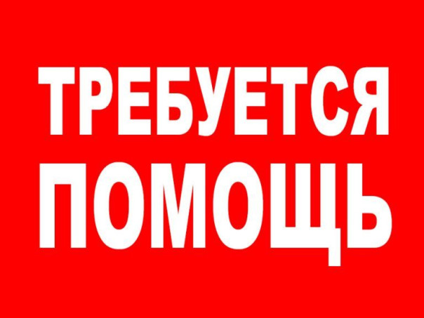 Уважаемые читатели сайта E-News, прошу Вас о помощи!