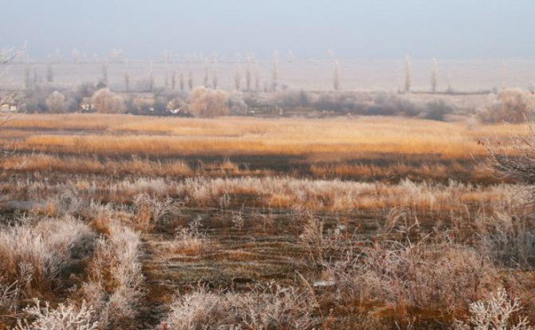 Зеленский — первый президент, поддержавший распродажу Украины