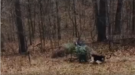 Это был неравный бой!