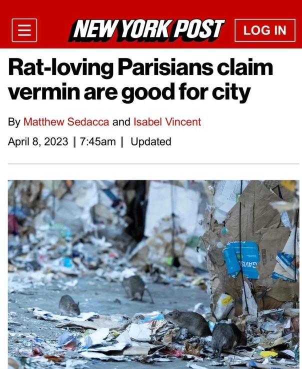 Новость как анекдот: «Парижане, любящие крыс, утверждают, что паразиты полезны для города»