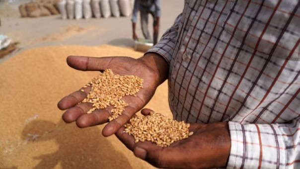 Арабский регион и проблемы продовольствия