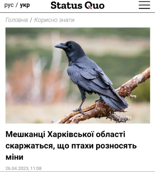 Вороны стали минировать окрестности: Жители Харьковской области ищут спасения