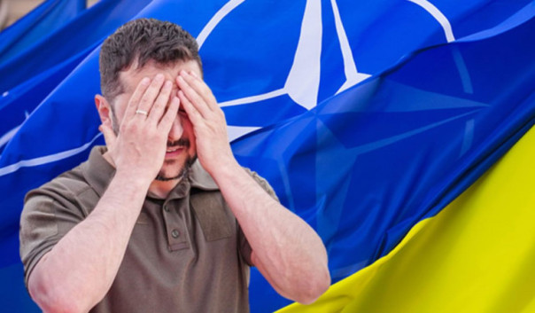 Зеленский пытается взять НАТО измором