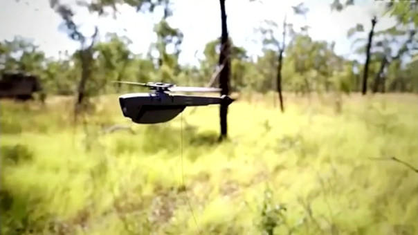 Долетался желтоглазый. Наши военные затрофеили секретный микродрон