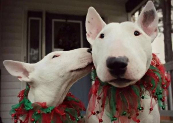 Саморазорение Европы: одиннадцатый ударный и не последний. Владимир Скачко