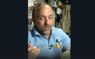 Обнаружилась связь между Севастополем и долларовым миллиардером-экстремалом