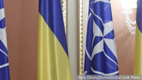 Германия захотела заблокировать «немедленное членство» Украины в НАТО